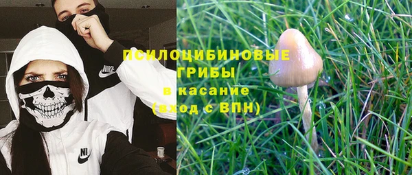 ECSTASY Надым