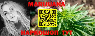 прущие грибы Будённовск