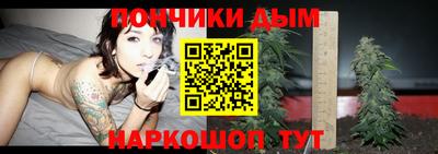 прущие грибы Будённовск