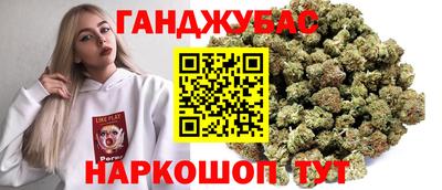 прущие грибы Будённовск