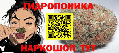 Альфа ПВП Гагарин