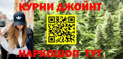 МДПВ Гай