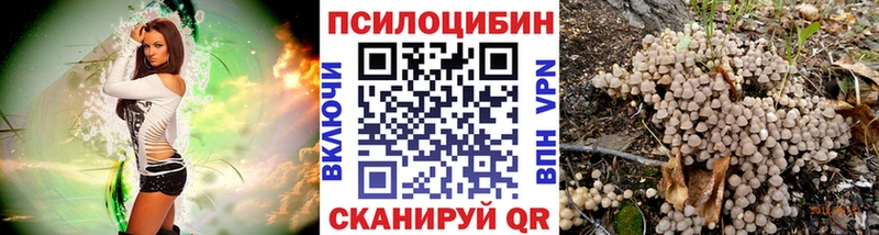 где купить   Чебоксары  Галлюциногенные грибы Psilocybine cubensis 