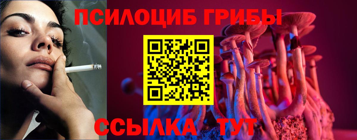 Галлюциногенные грибы Psilocybine cubensis  Чебоксары 