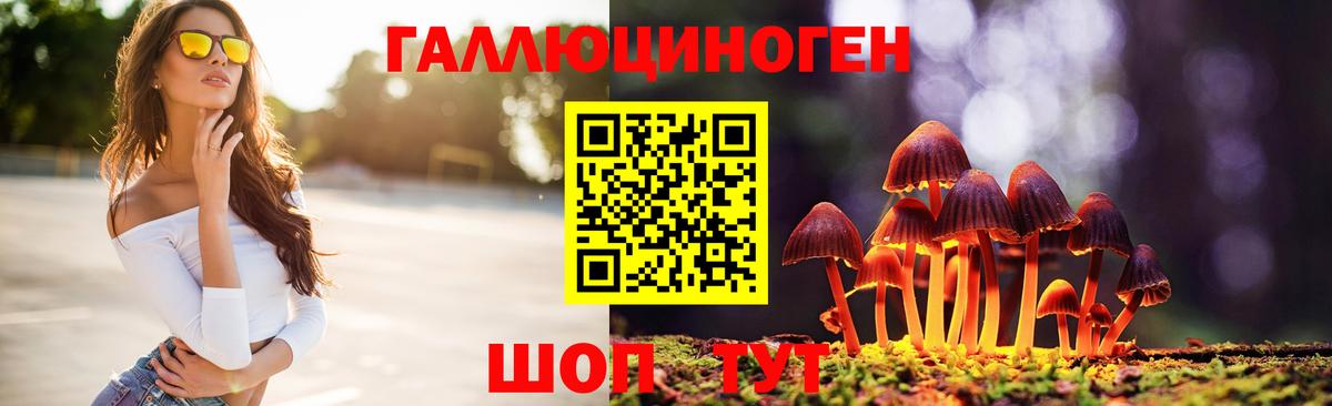 Галлюциногенные грибы MAGIC MUSHROOMS  Вход с VPN  Чебоксары  Галлюциногенные грибы MAGIC MUSHROOMS 